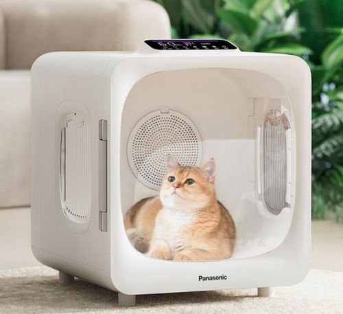 618寵物家電精選指南 智慧科技，開啟愛寵舒適新生活